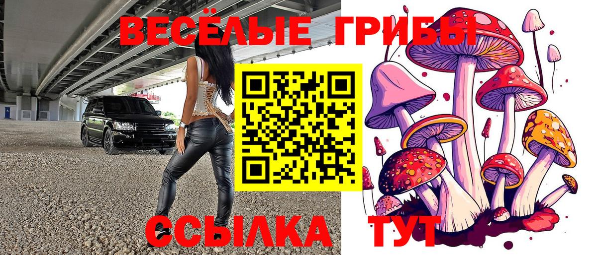 Ростов Великий  Псилоцибиновые грибы MAGIC MUSHROOMS  Вход с VPN 