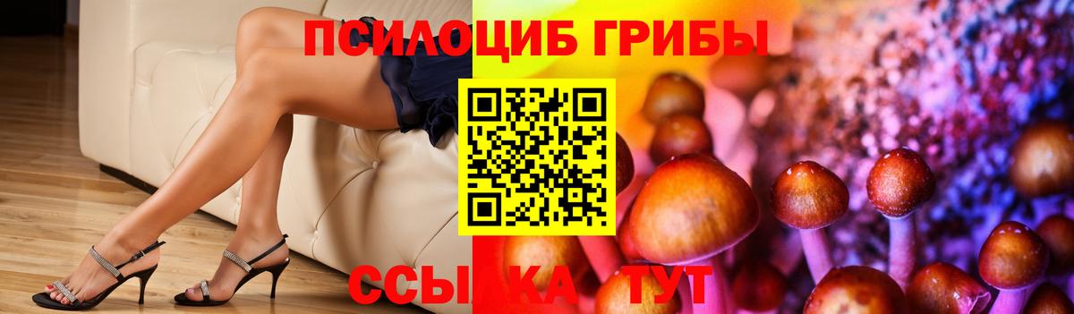 Галлюциногенные грибы Psilocybe Ростов Великий